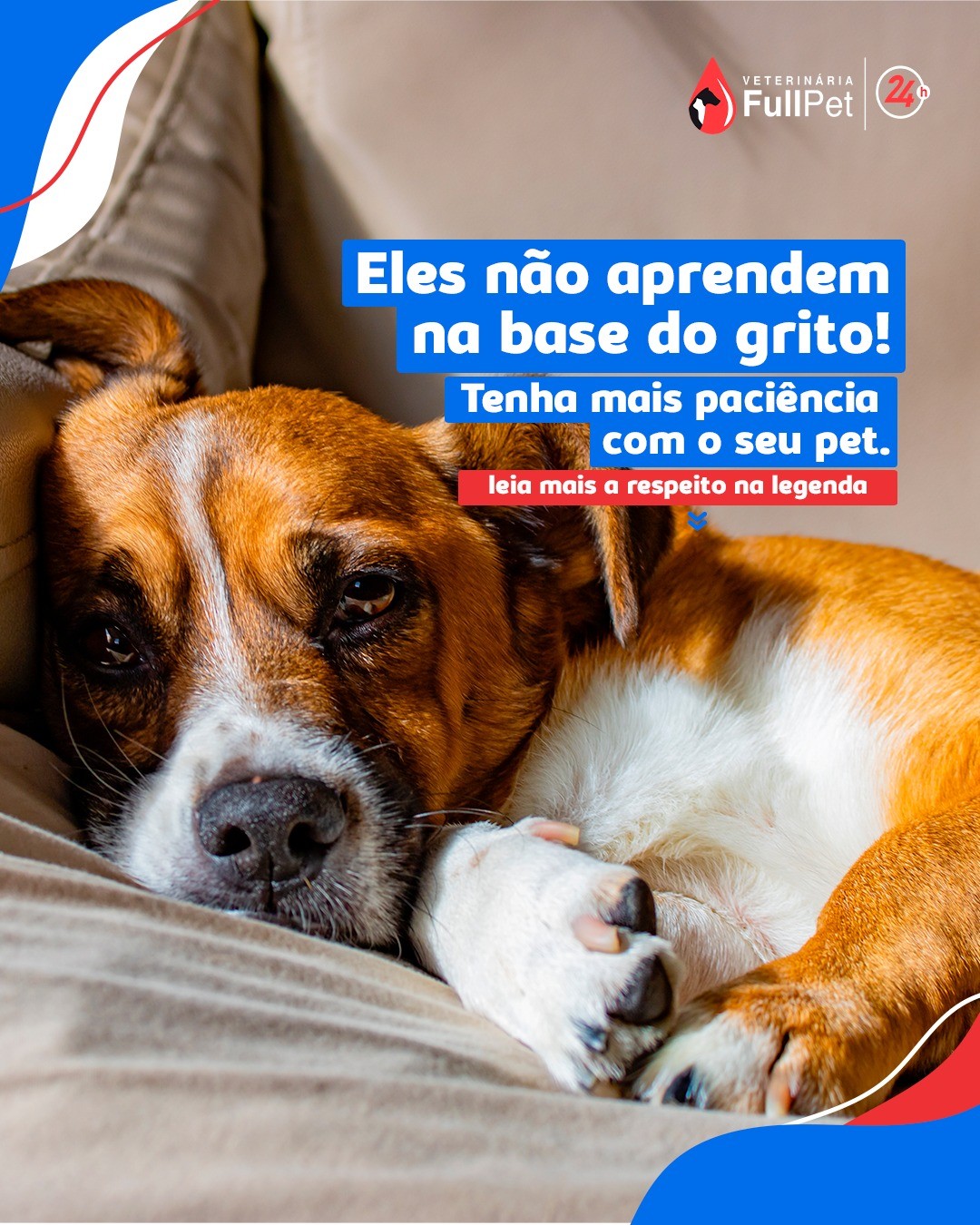 Naquele momento do calor da emoção, que você chegou super cansado em casa e viu o lixo revirado, é quase impossível não proferir palavras duras, com u...