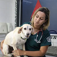 FullPet | Serviços