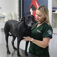 FullPet | Serviços