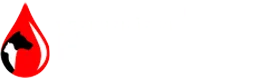 FullPet Veterinária